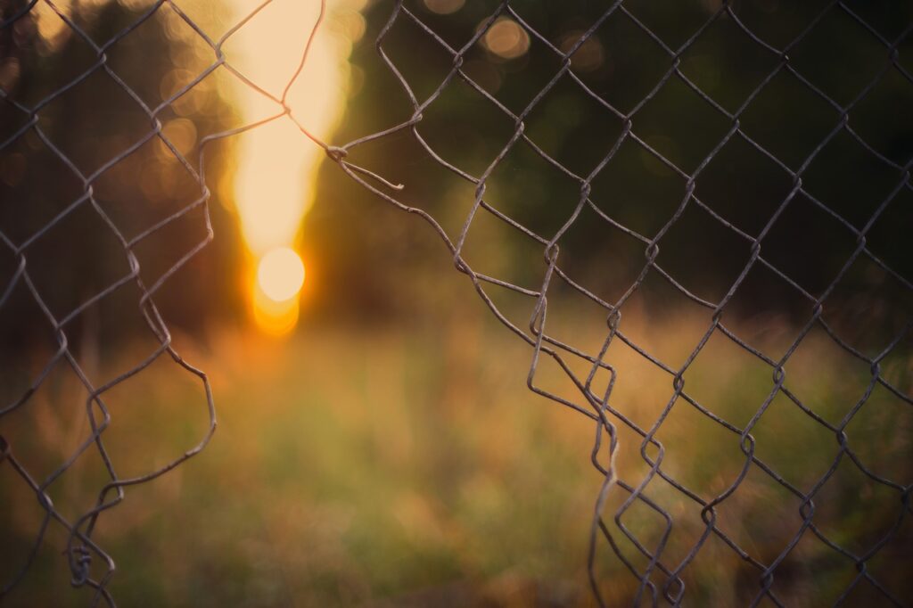 background, fence, freedom-3332559.jpg