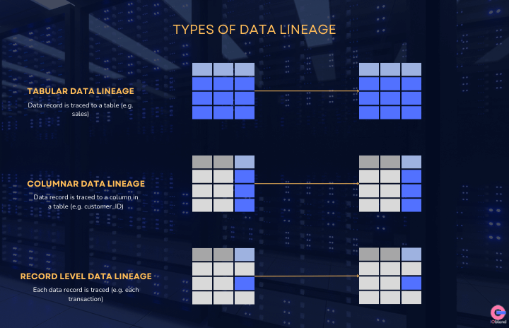 Data lineage types